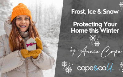 Winter Home Protection Guide for Tenants