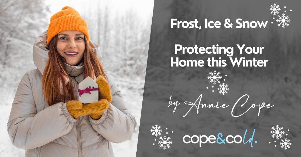 Winter Home Protection Guide for Tenants